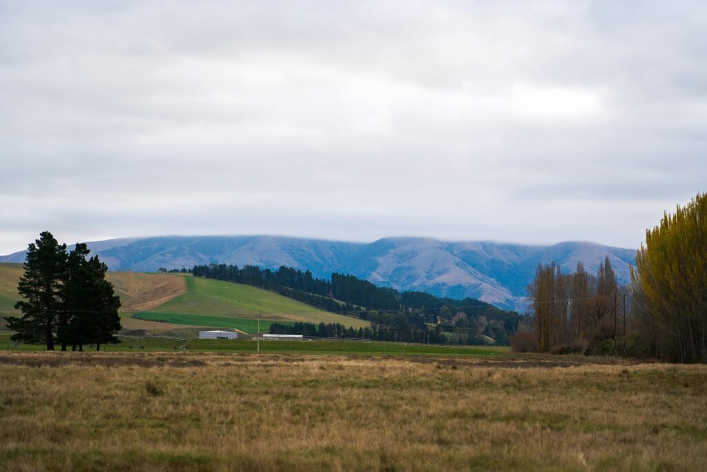 website development in Albury