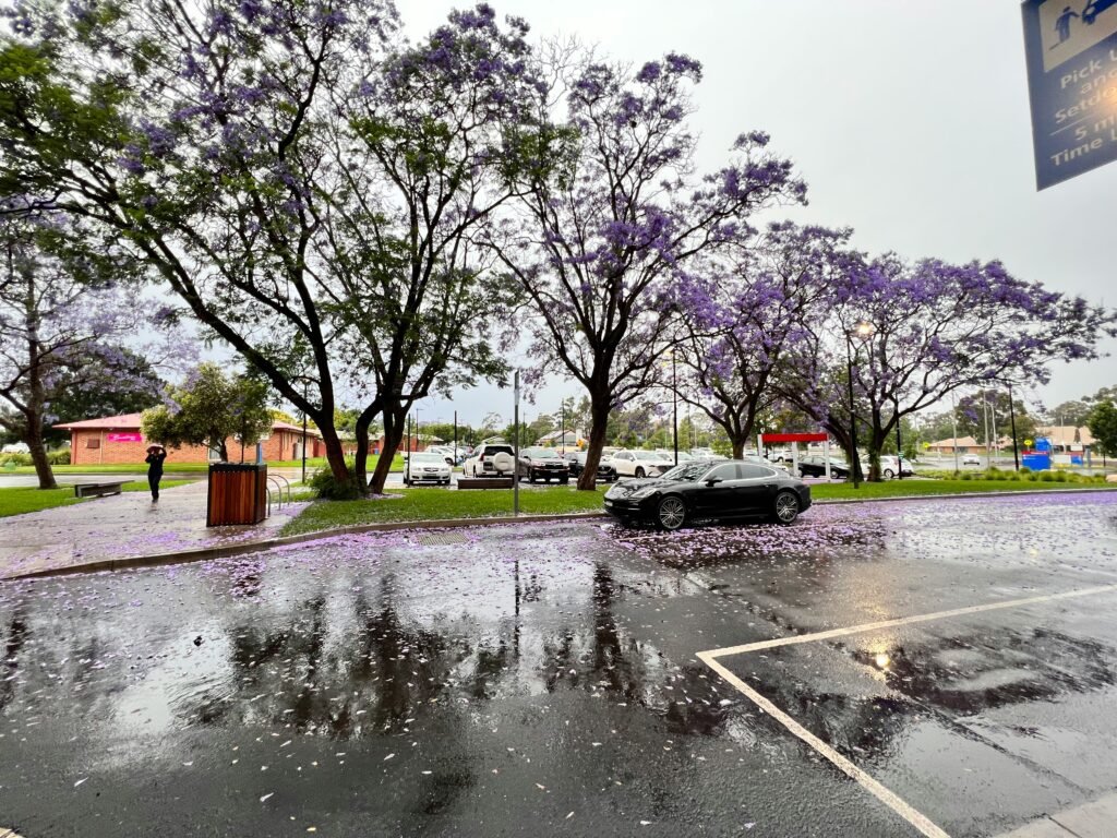 website development in Dubbo