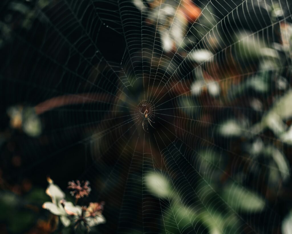 agentic web experiences