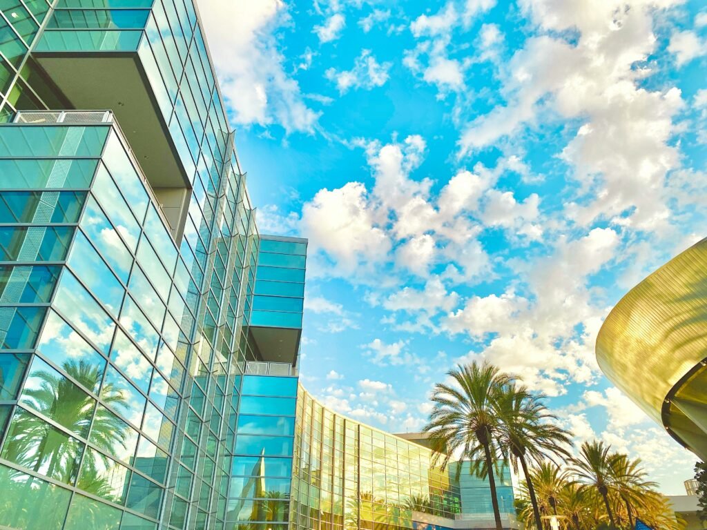 website development in Anaheim