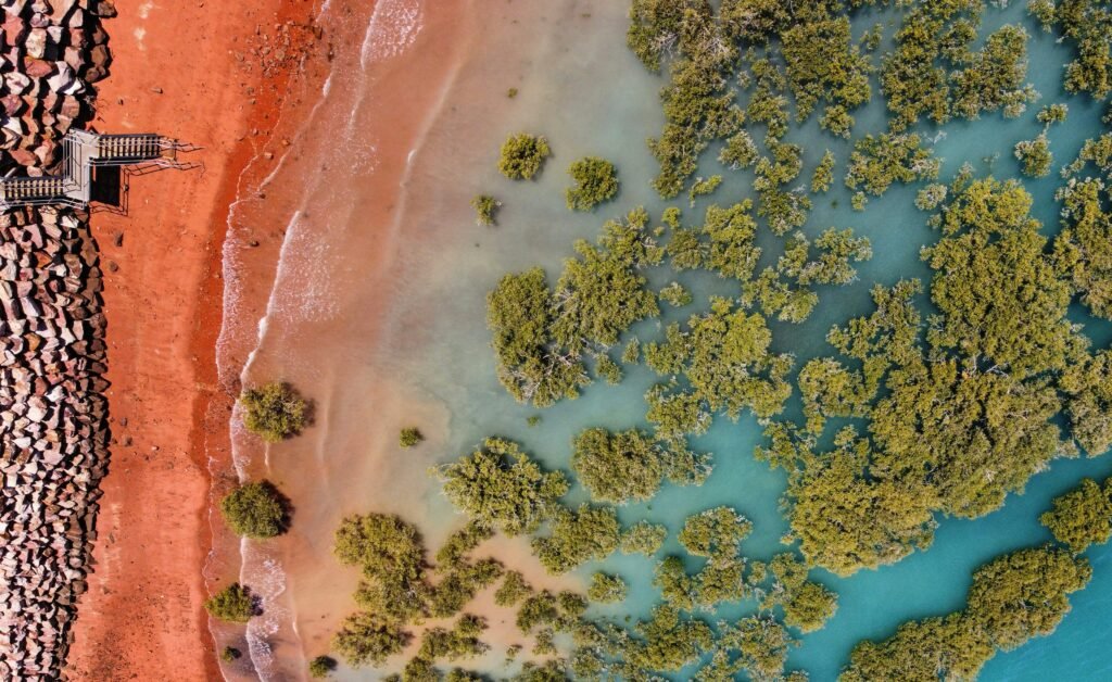 website development in Broome