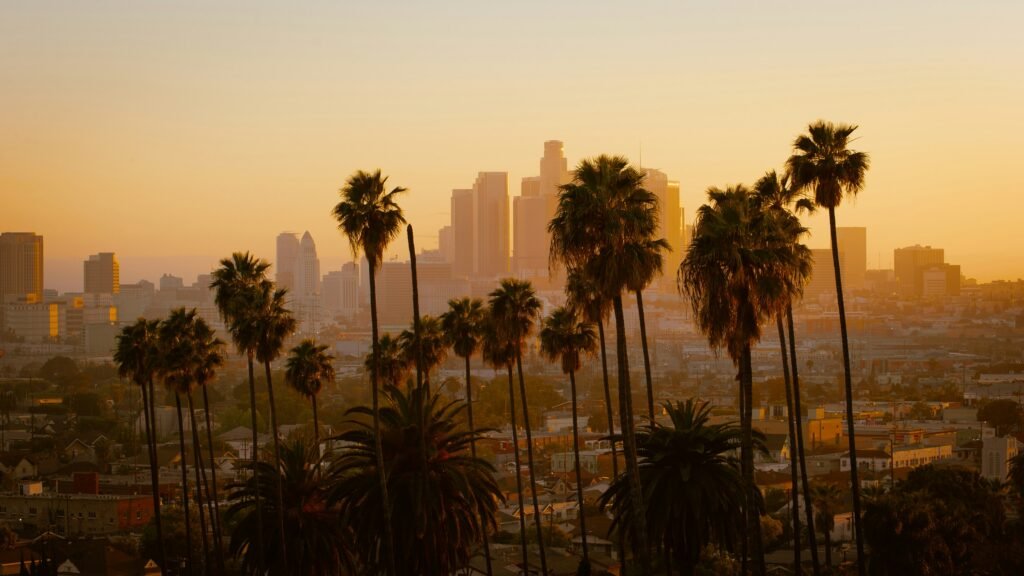 website development in Los Angeles