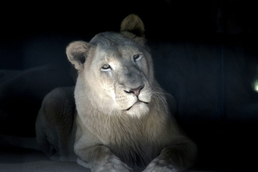 website development in Nowra