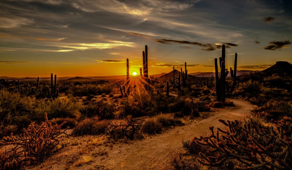 website development in Scottsdale