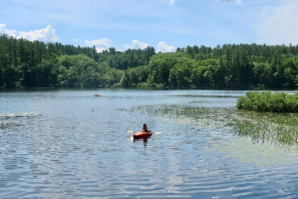 website development in Tamworth