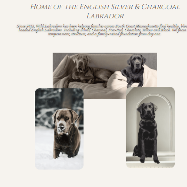 Screenshot 2025-12-22 143525