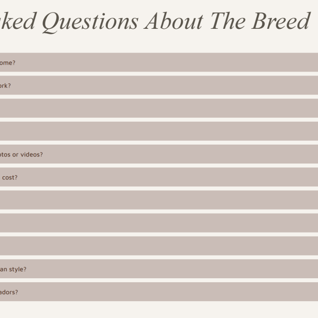 Screenshot 2025-12-22 143622