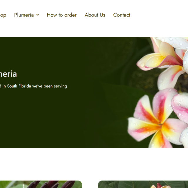 Screenshot 2025-12-22 152422