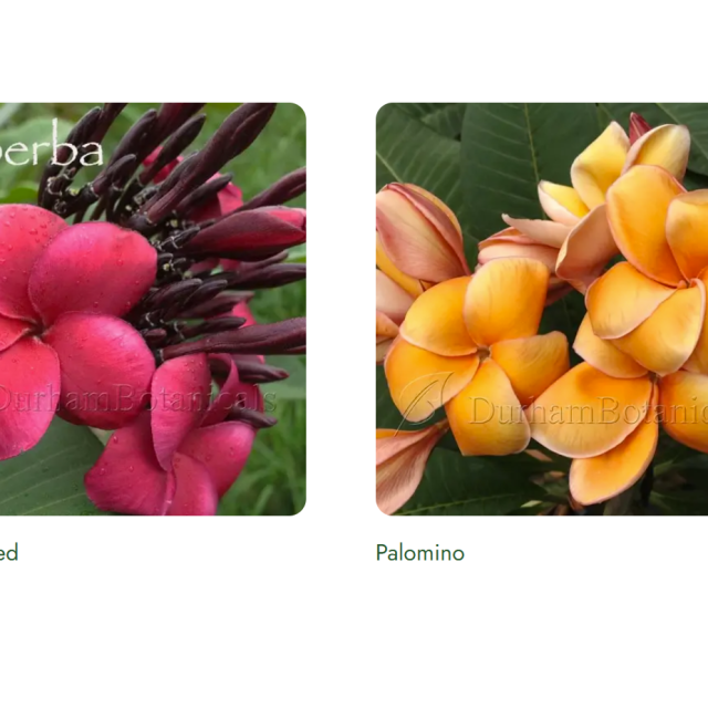 Screenshot 2025-12-22 152441