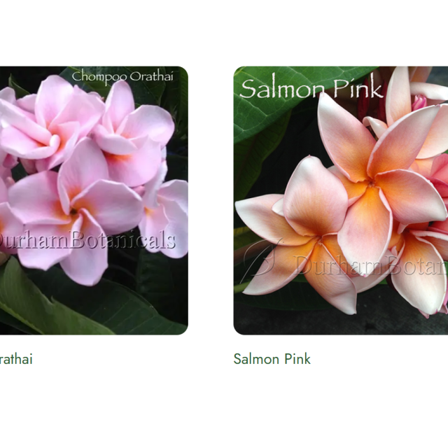 Screenshot 2025-12-22 152515